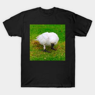 The Cockatoo without his Crest! T-Shirt